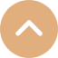 Scroll to Top